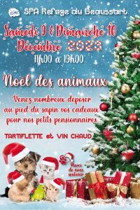 Noel-RDB_2023